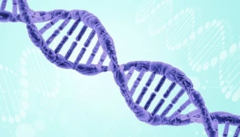 Донорство костного мозга