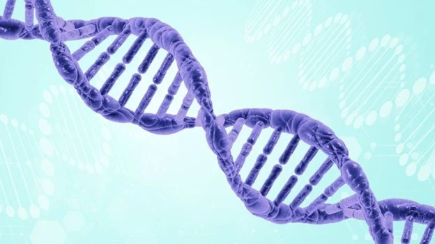 Донорство костного мозга Донорство костного мозга